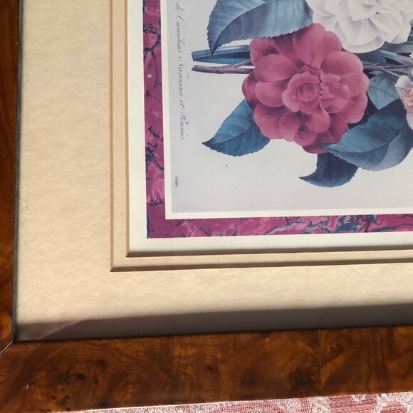 1989 Portal P J Redoute litho print Boquete de Camelias Narcisses Pansees framed - Picture 5 of 6